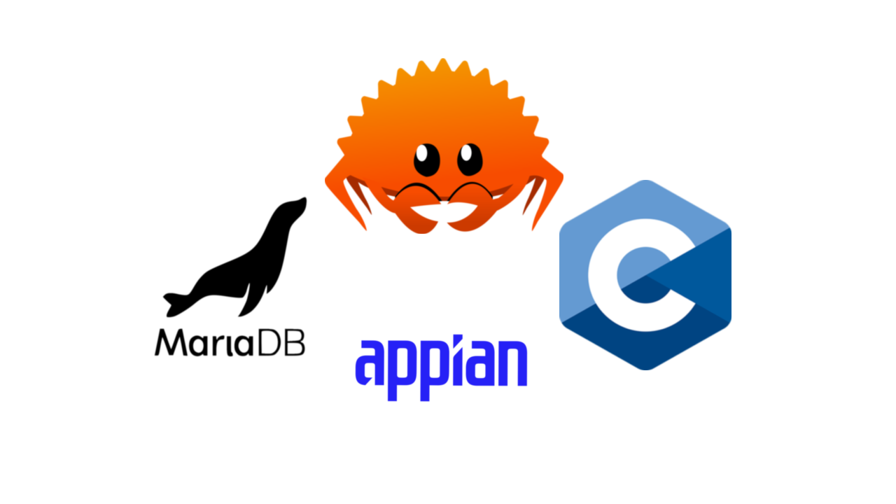 Appian Software Engineer Intern (2024)